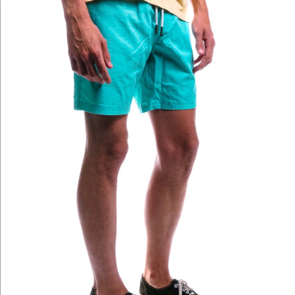 New With Tags - embroidered swim trunks